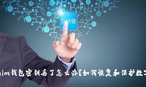 Tokenim钱包密钥丢了怎么办？如何恢复和保护数字资产