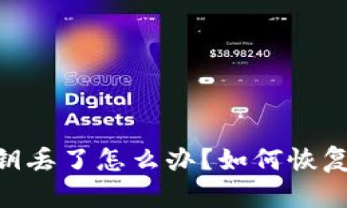 Tokenim钱包密钥丢了怎么办？如何恢复和保护数字资产